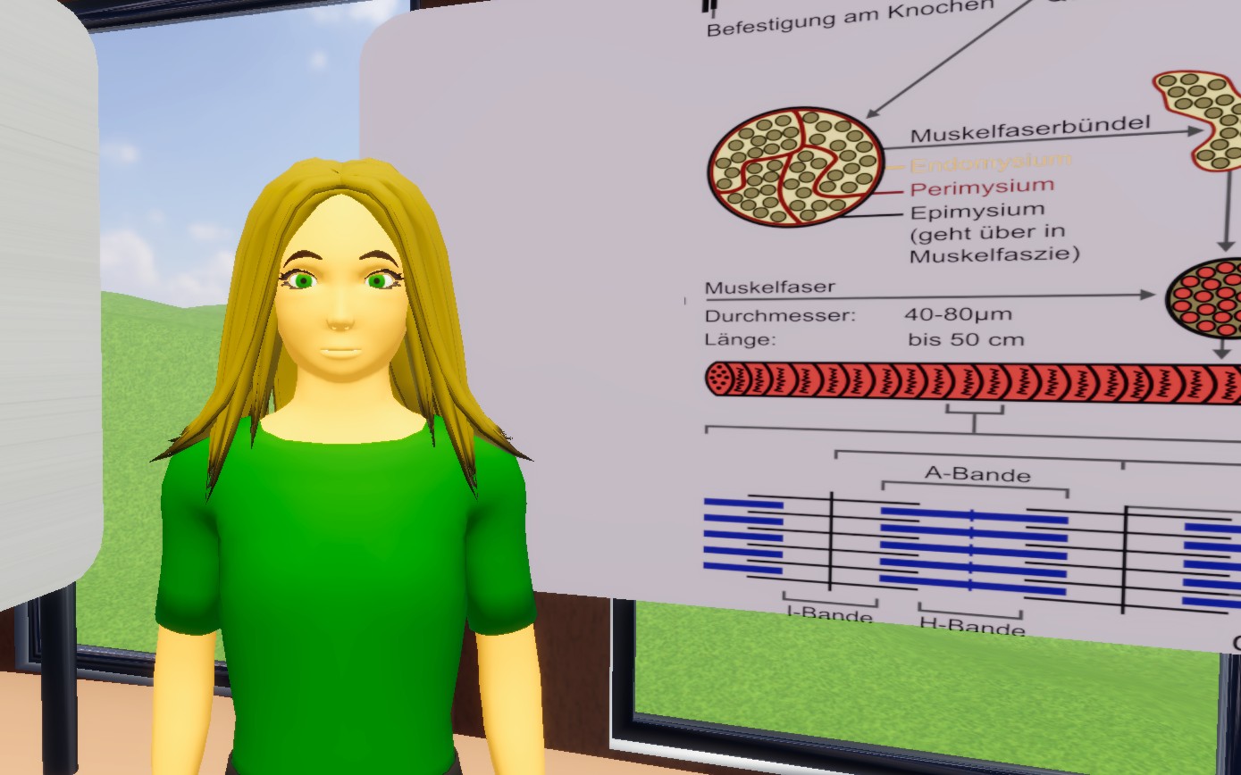 Virtuelle Reise durch den Skelettmuskel - Single Assistent aus dem Fachbereich Sachunterricht