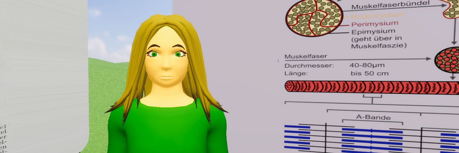 Virtuelle Reise durch den Skelettmuskel - Single Assistent aus dem Fachbereich Sachunterricht